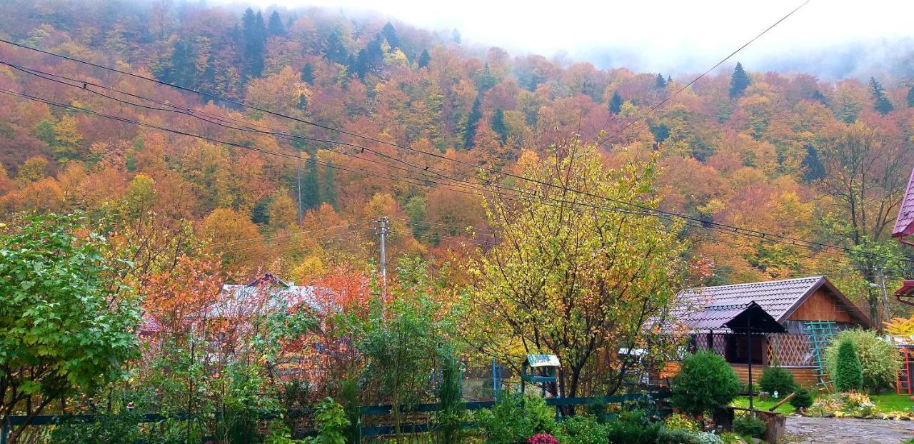 Kipreya Villa Yaremche Luaran gambar